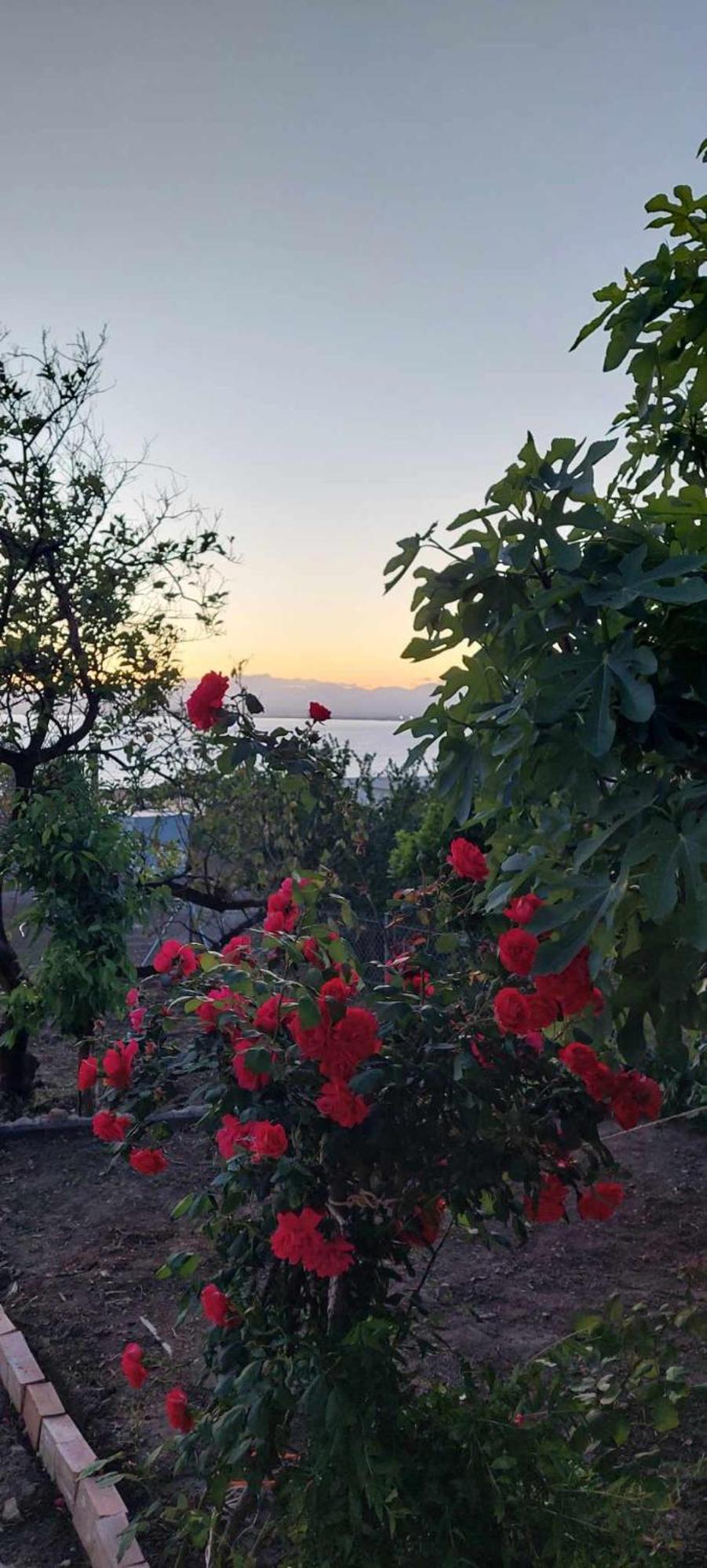 Panorama Studio Каламата Екстер'єр фото